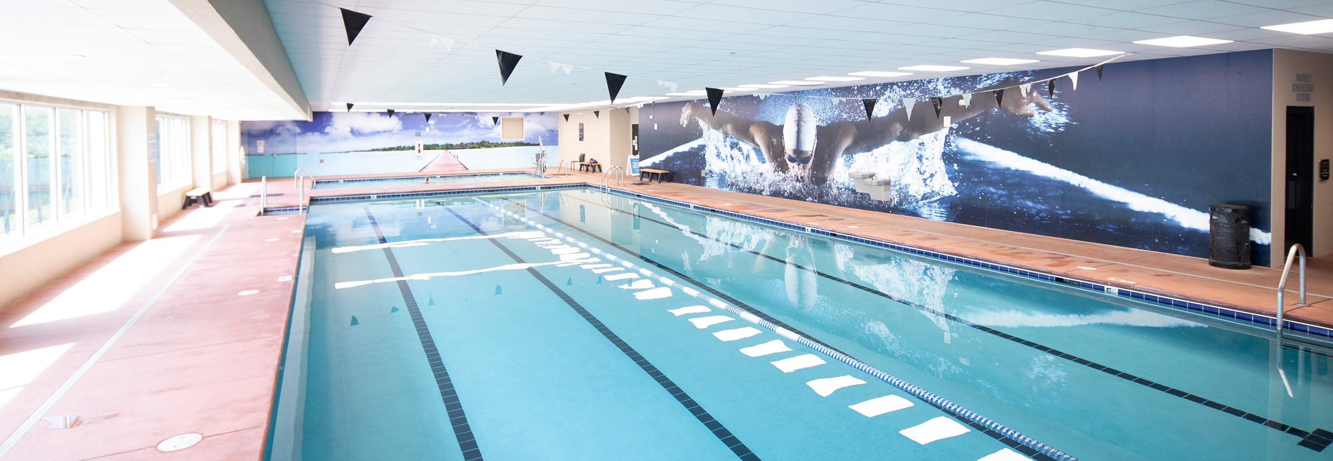 Gyms in Knoxville, Tennessee